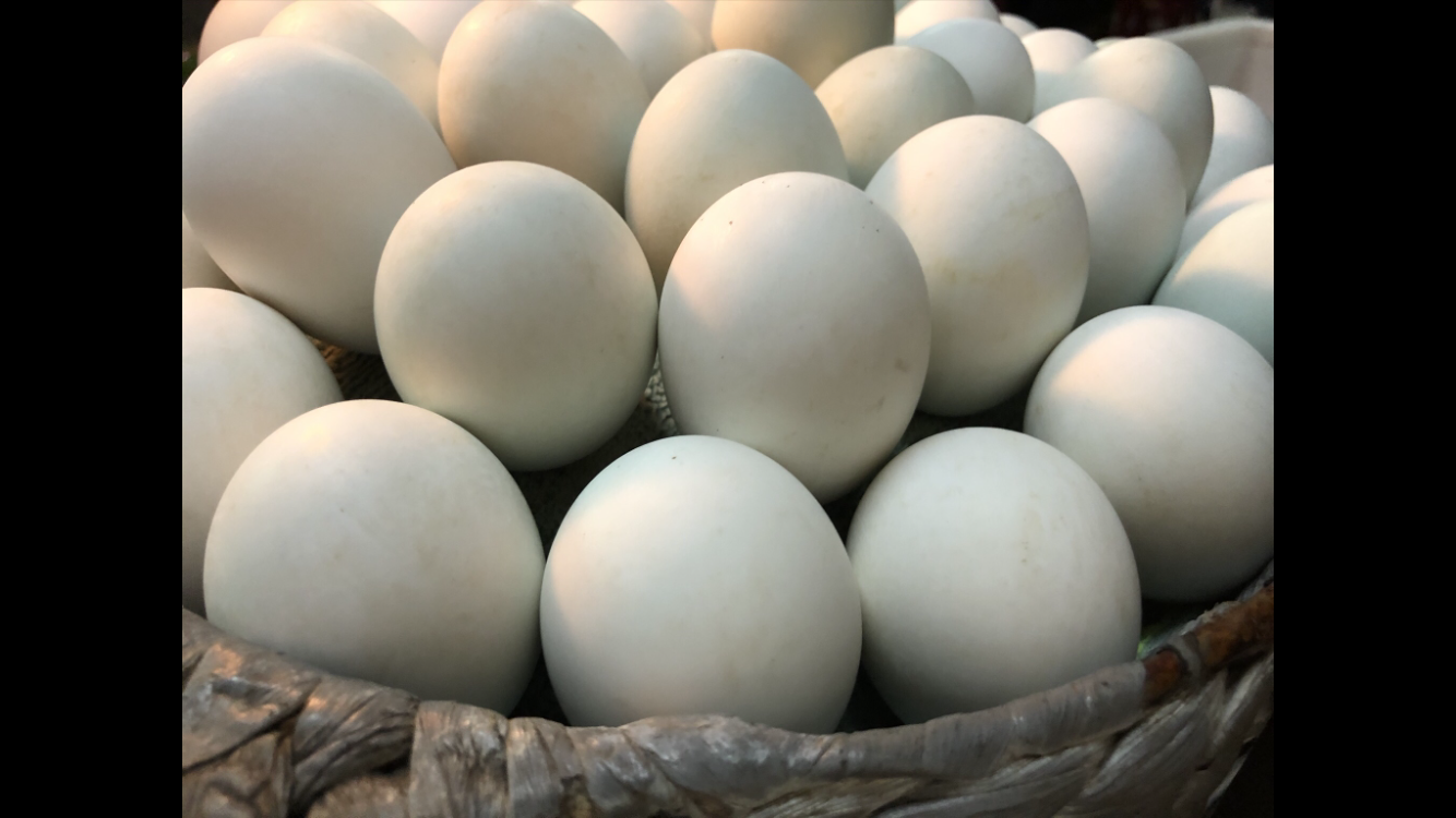 Kim Thao Restaurant baby duck egg photo 11 in Thao Dien