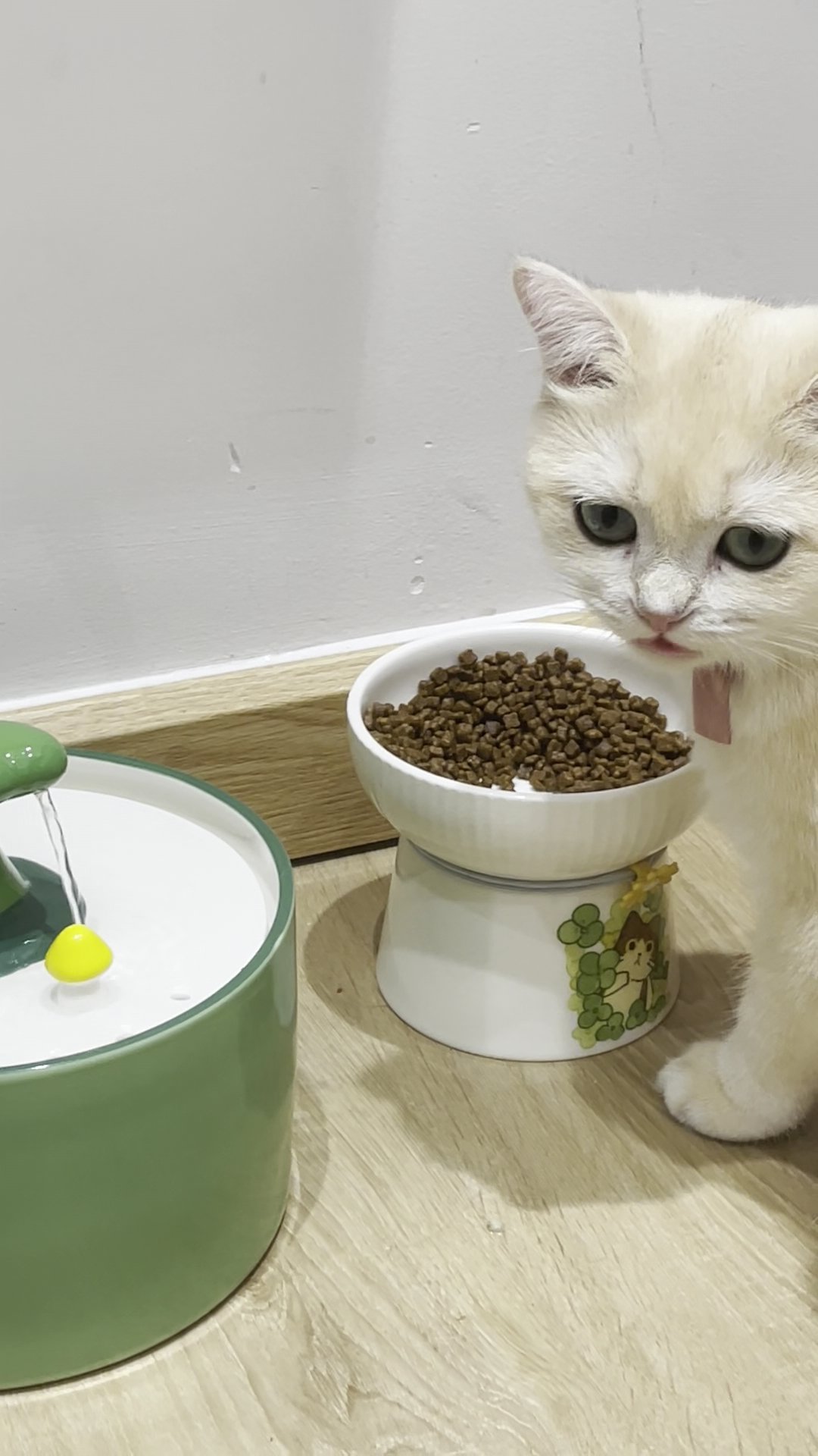 A white cat with its tongue out is positioned next to a white bowl filled with dry cat food, which sits on a stand featuring a cat illustration. To th