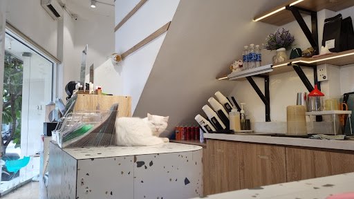 The image depicts the interior of a modern café or restaurant in Thao Dien, Saigon. Key elements include a white cat resting on a speckled white count