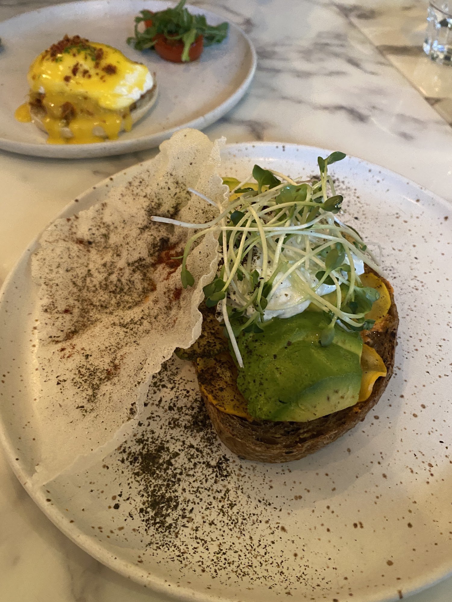 Avocado Toast with Microgreens