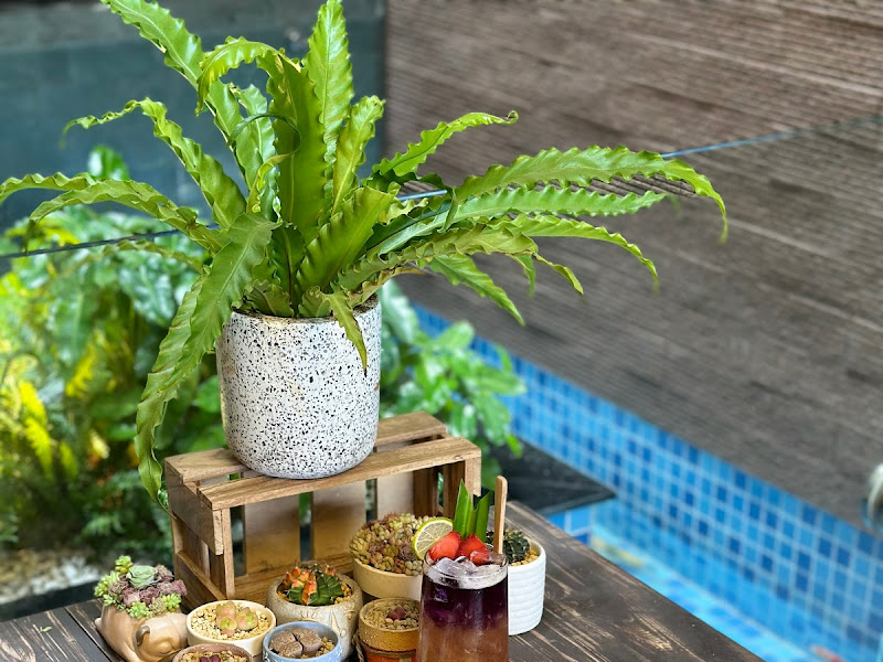 Lanlan Pet Coffee & Tea - Quán Cafe chó, cafe thú cưng quận 2 photo 1 in Thao Dien