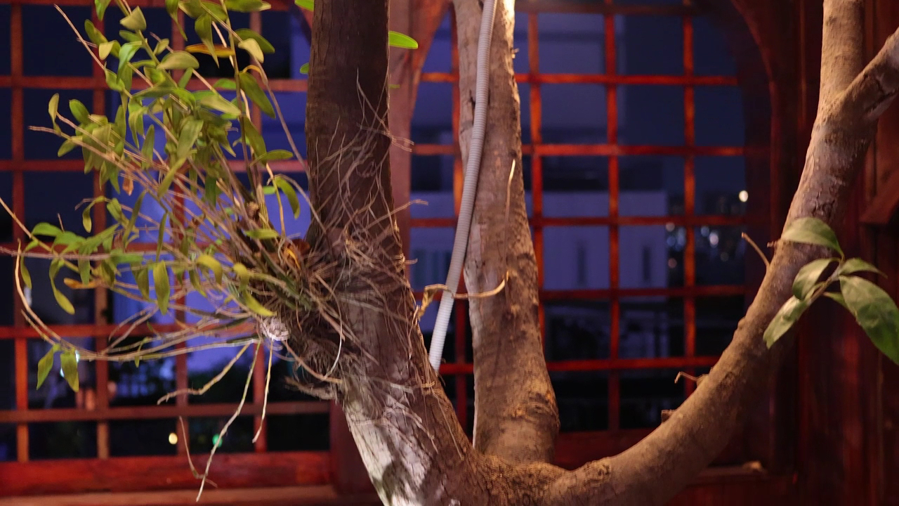 Luna & Co. - Rooftop Bar and Café photo 5 in Thao Dien