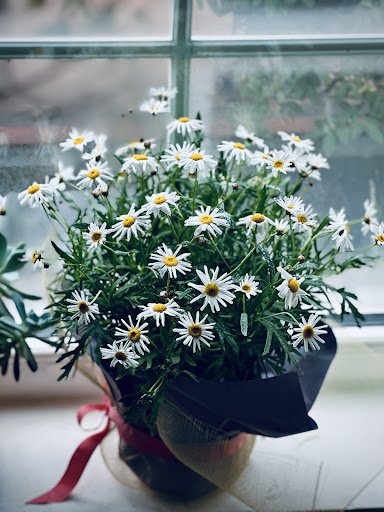 LyLyn by Linh - The Best Beauty Spa in Thao Dien photo 3 in Thao Dien