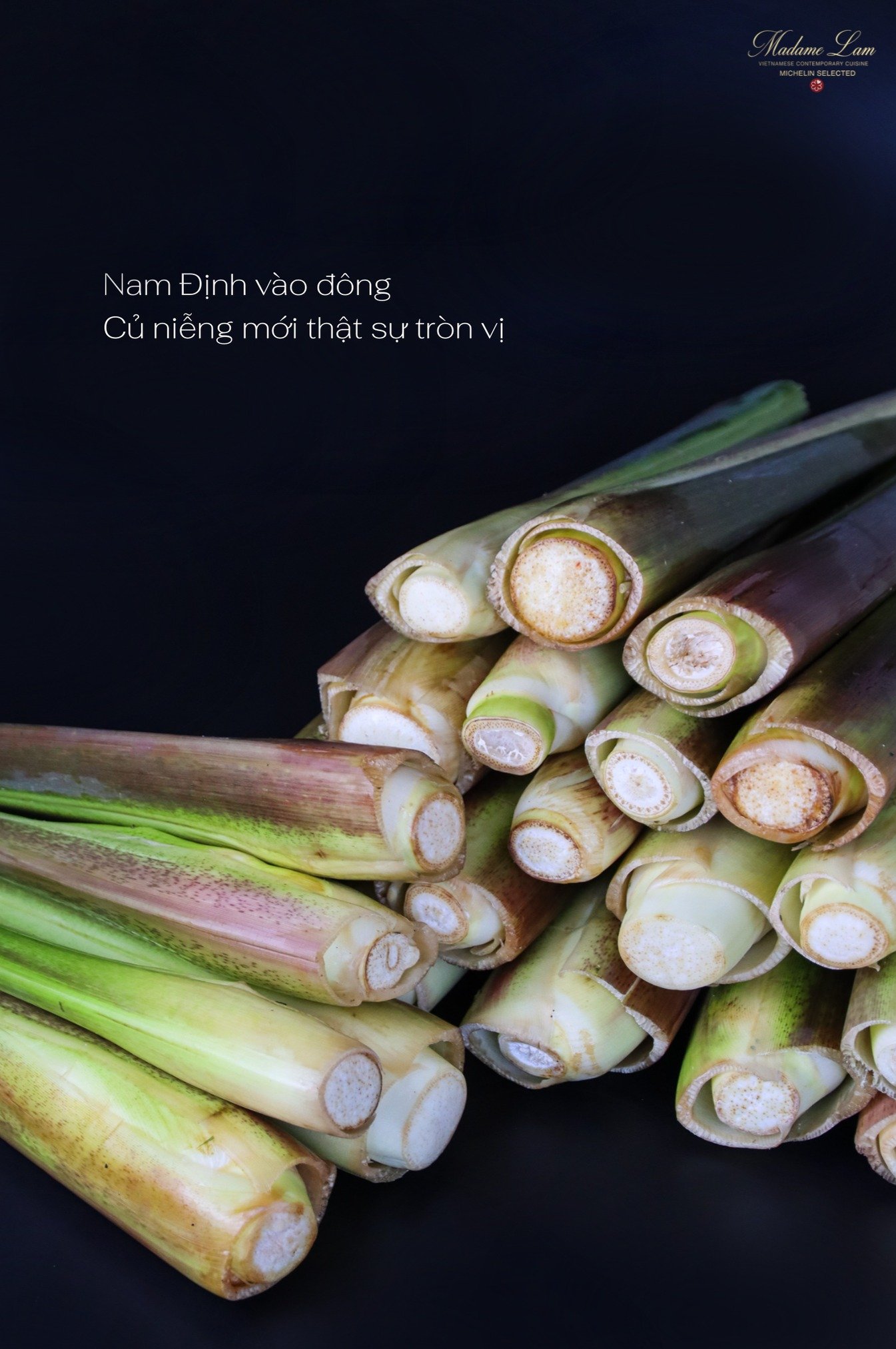 Green Onions or Scallions