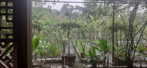 The image shows a lush garden view from an open window or door of what appears to be a traditional Vietnamese building with wooden lattice work on the