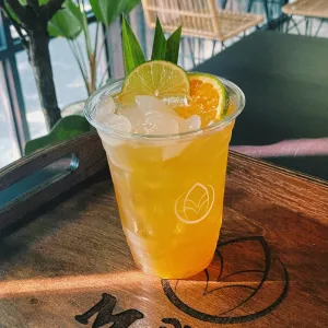 Jasmine tea with Arenga pinnata