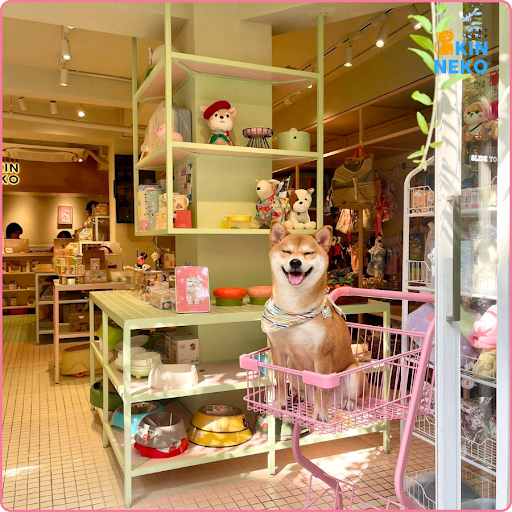 MAME Shiba Cafe photo 11 in Thao Dien