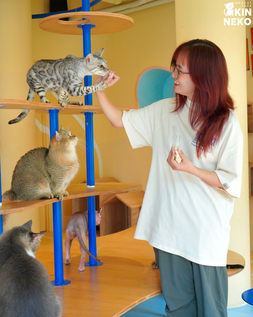MAME Shiba Cafe photo 12 in Thao Dien