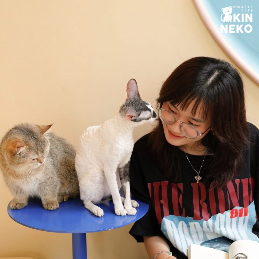 MAME Shiba Cafe photo 15 in Thao Dien