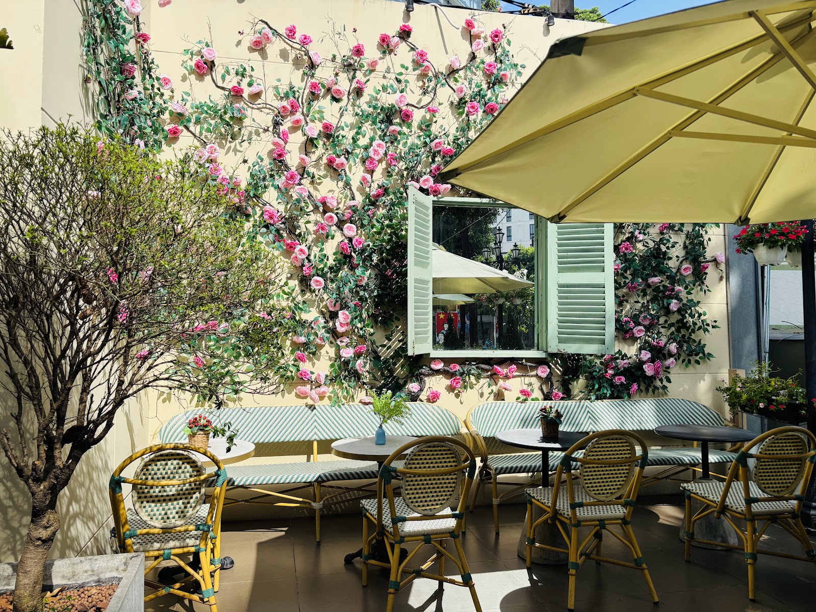 Mellow Beans Cafe photo 8 in Thao Dien