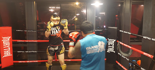 Metal Muaythai photo 3 in Ha Noi