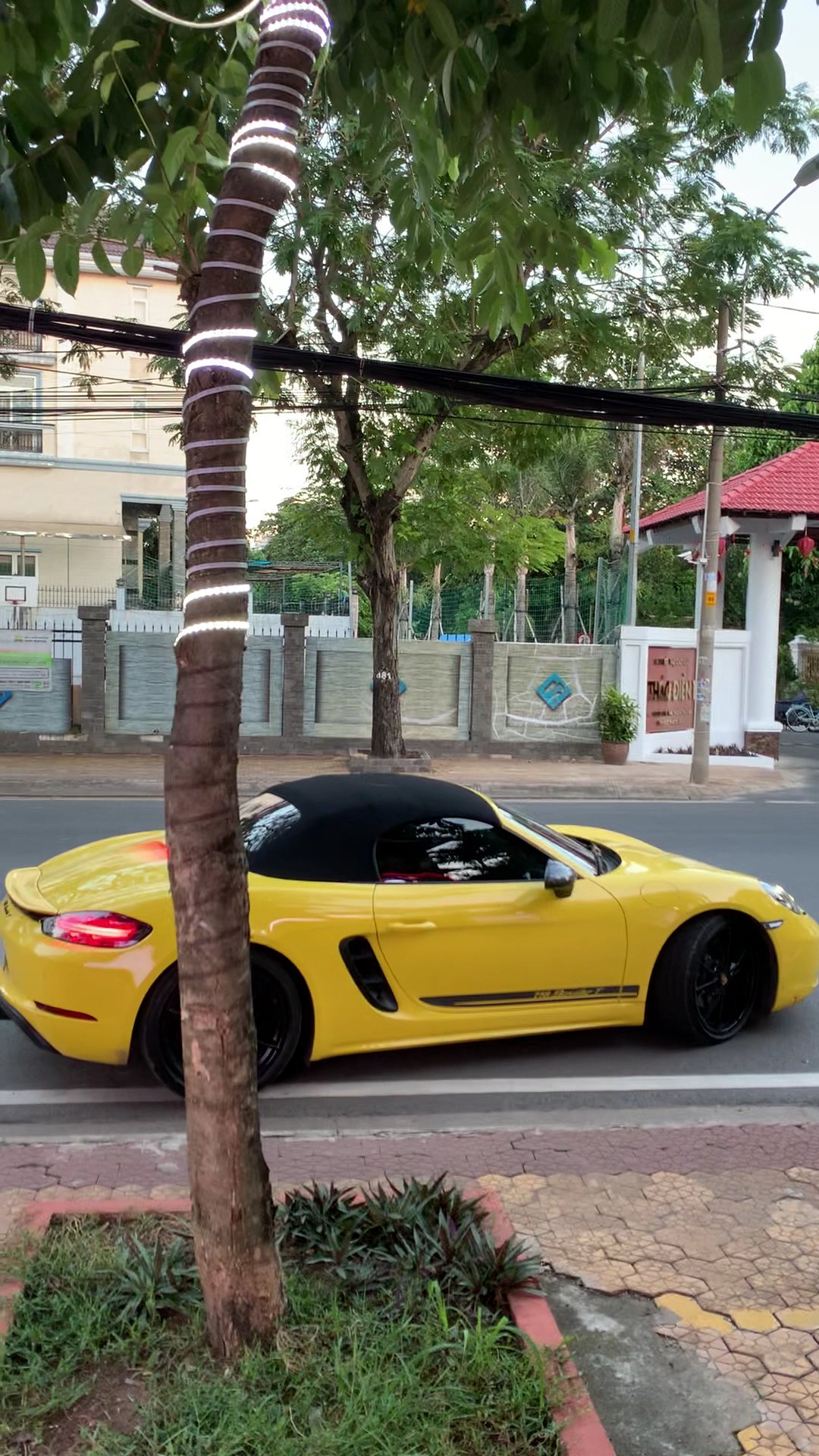 A bright yellow sports car is parked on a street beside a tree that has decorative lights wrapped around it.