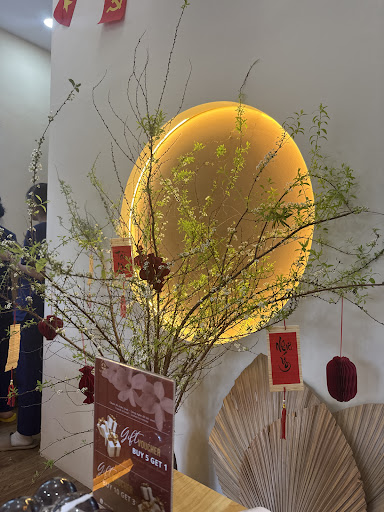 The image shows an indoor setting featuring a decorative plant in front of a glowing circular light fixture on the wall. The ambiance suggests a moder