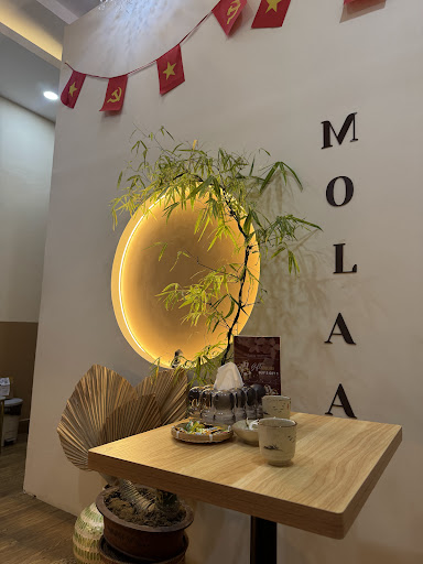 Molaa Lymphatic Spa Thảo Điền - Healing Center photo 9 in Thao Dien