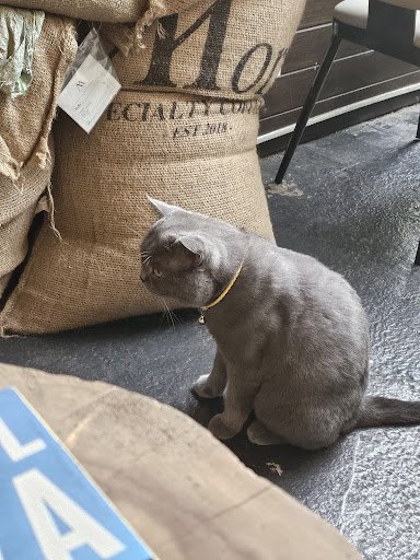 Mori Coffee photo 3 in Thao Dien