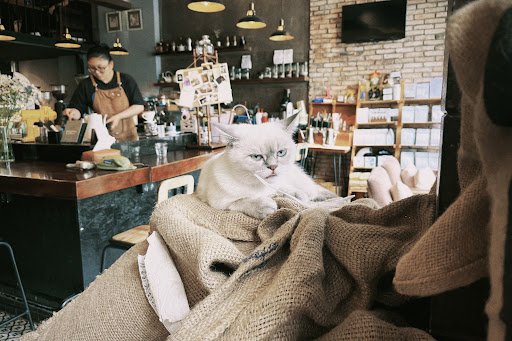 Mori Coffee photo 5 in Thao Dien