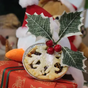 Mince fruits ( mini )