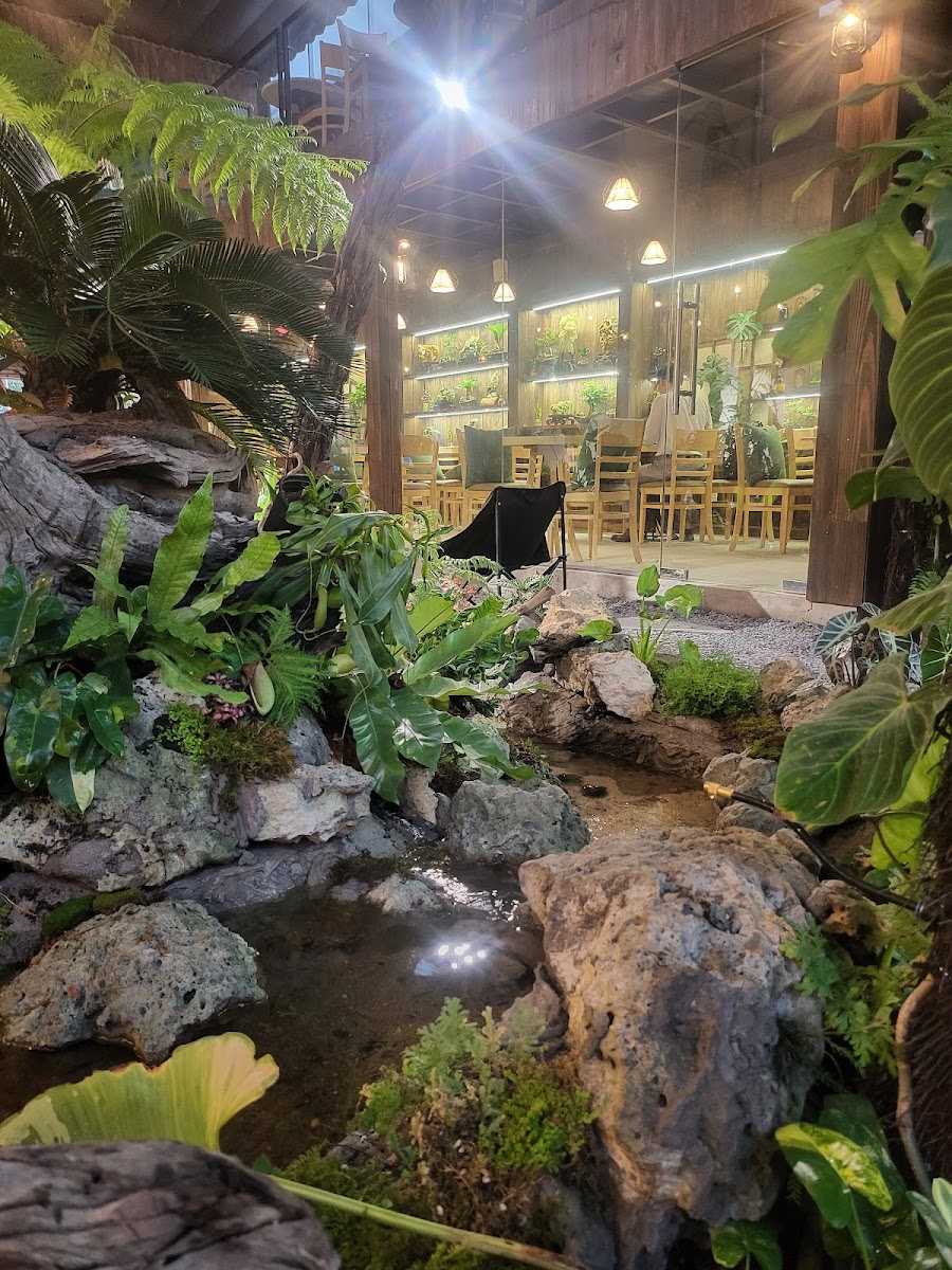 Naturhouse Coffee| ĐỒ UỐNG SỨC KHỎE | ĐỒ UỐNG HEALTHY photo 2 in Thao Dien