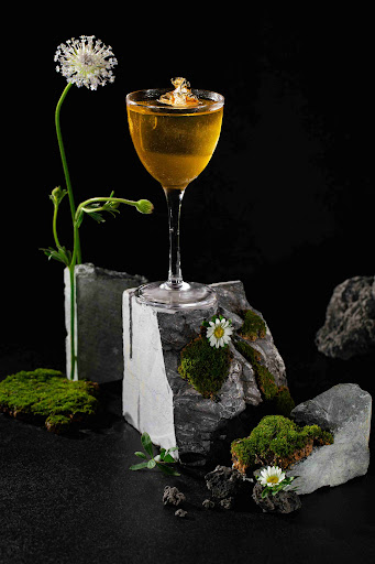 Nectar Hideaway: Speakeasy Rooftop Cocktails Bar photo 2 in Thao Dien