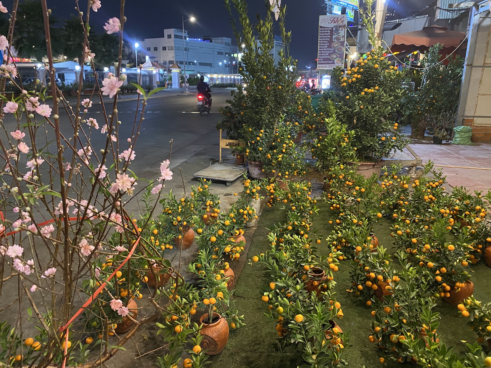 Nhâm Coffee photo 8 in Thao Dien