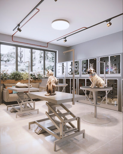 Paws & Claws Pet Shop | petshop Thủ Đức| petshop Thảo Điền - Pet Store in Thao Dien