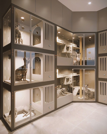 Paws & Claws Pet Shop | petshop Thủ Đức| petshop Thảo Điền photo 3 in Thao Dien