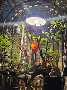 Peachy Craft Beer & Coffee photo 3 in Thao Dien