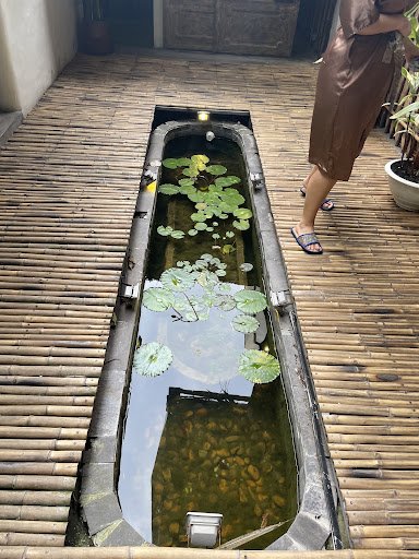 The image shows a narrow water feature on a wooden decked area where lily pads float in the still waters and small fish swim below.