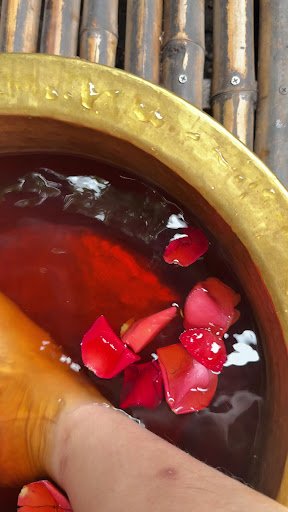 A close-up view of a golden bowl filled with red liquid and floating rose petals on top.