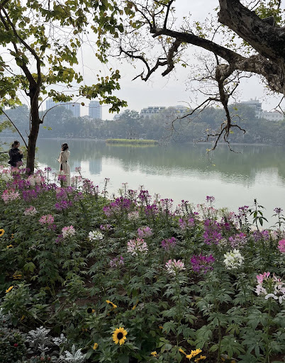 Phố đi bộ Hồ Gươm photo 4 in Ha Noi