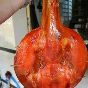 1 crispy skin roasted duck at Phương Thảo Bakery