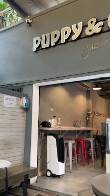 Puppy & Cesar photo 1 in Thao Dien