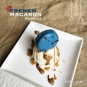 Puppy & Cesar photo 4 in Thao Dien