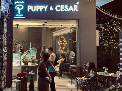 Puppy & Cesar Ice cream shop in Thao Dien - exterior