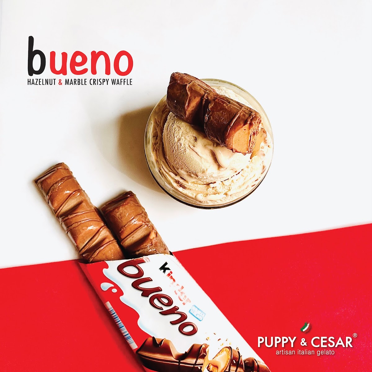 Puppy & Cesar photo 8 in Thao Dien