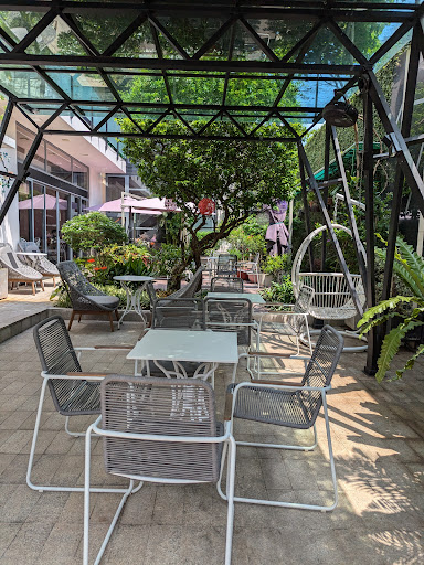 Puppy & Cesar photo 9 in Thao Dien