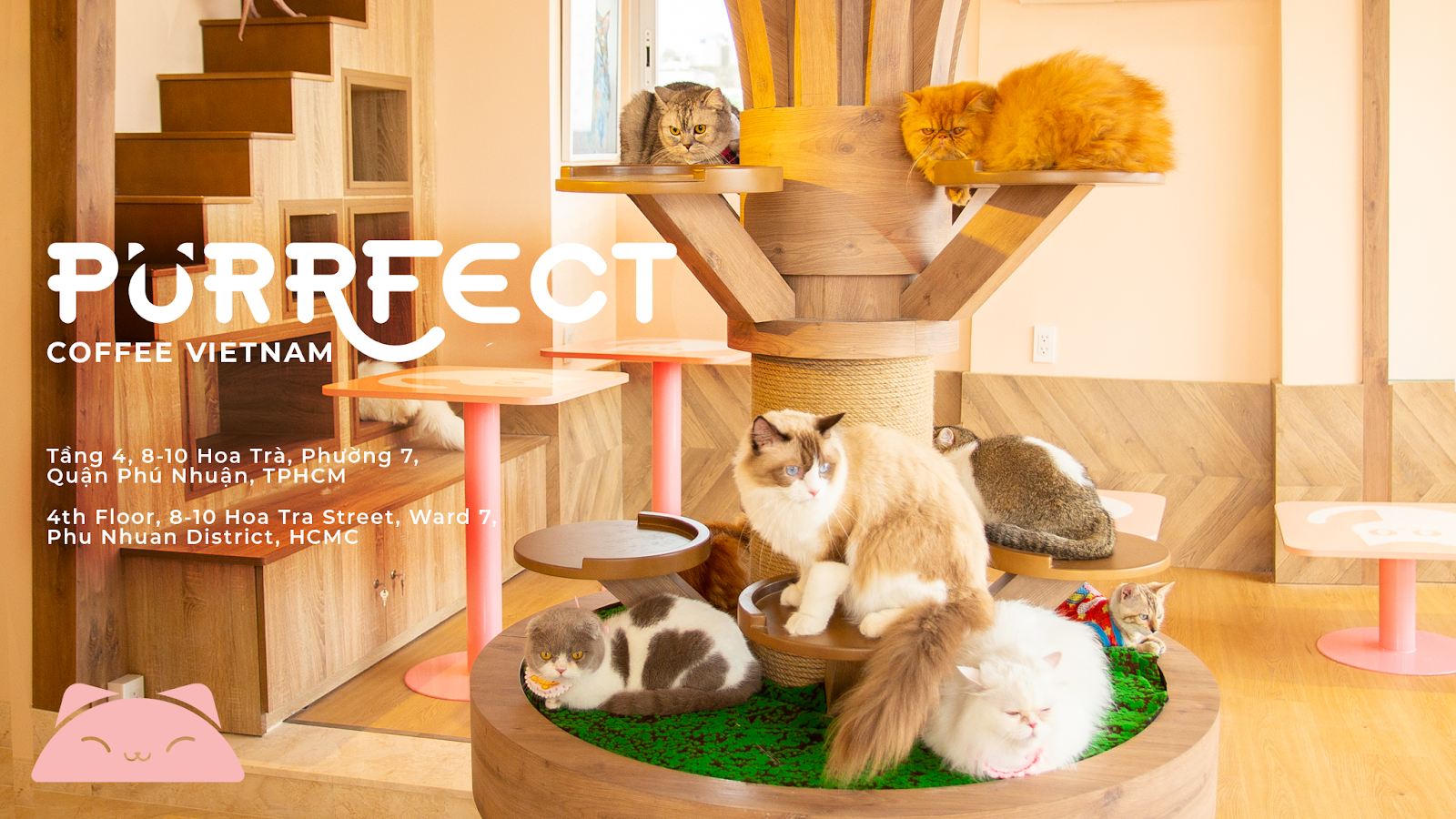 Purrfect Coffee photo 6 in Thao Dien