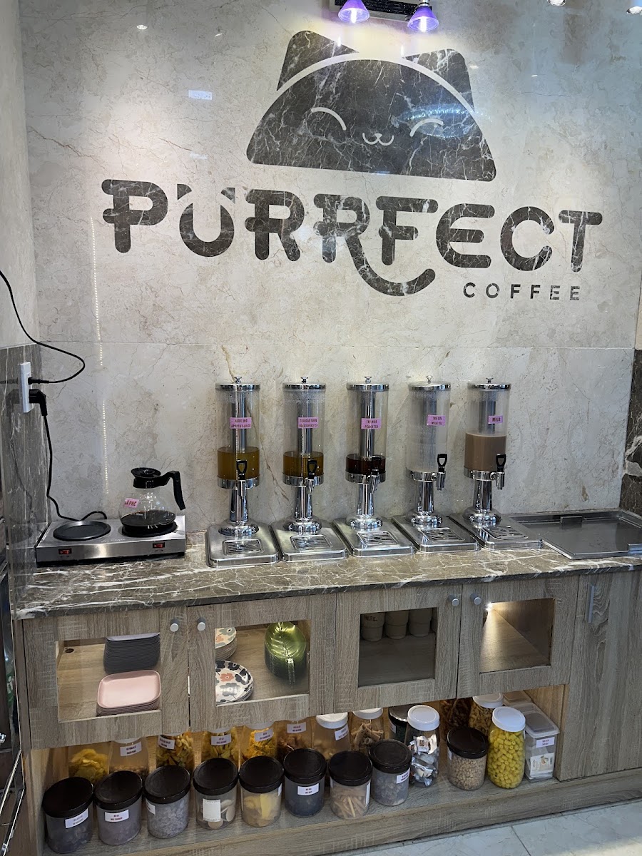Purrfect Coffee photo 7 in Thao Dien