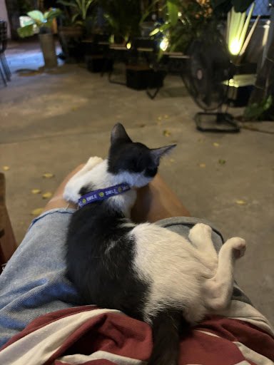 Reshape Saigon photo 1 in Thao Dien