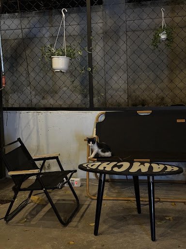 Reshape Saigon photo 6 in Thao Dien