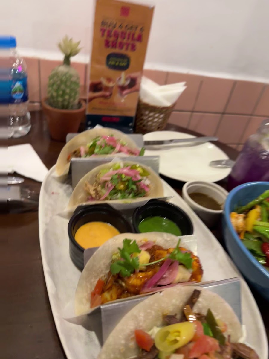Rico Taco - Mexican in Thao Dien