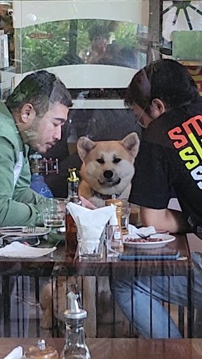 Roast & Smoke Thao Dien photo 1 in Thao Dien