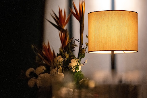 RUS THAO DIEN photo 4 in Thao Dien