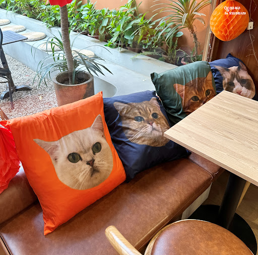 Geisha Cat Cafe photo 8 in Ha Noi