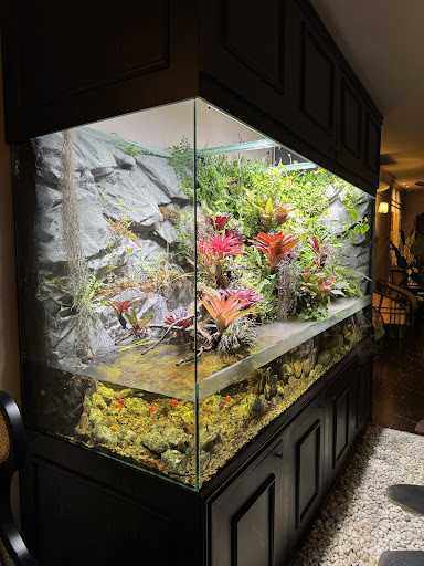Serene Spa Hanoi photo 4 in Ha Noi