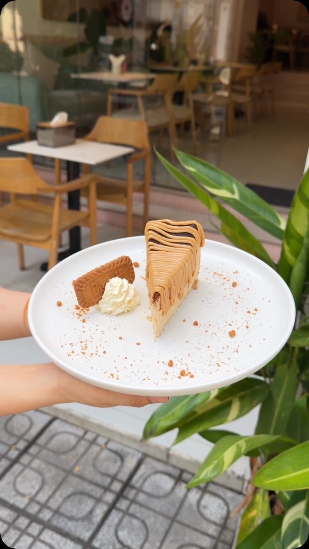 Biscoff Cheesecake is back!
