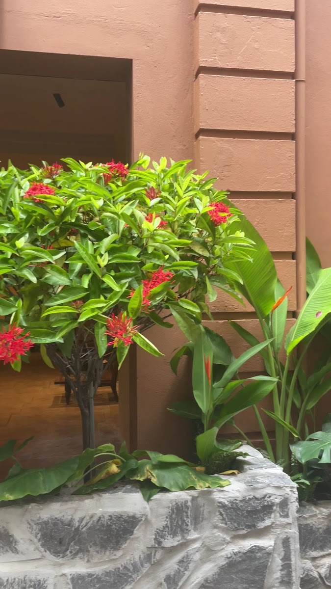 Dao's Care Spa - Tây Hồ photo 7 in Ha Noi