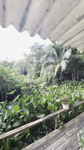 Spa Bar photo 3 in Thao Dien