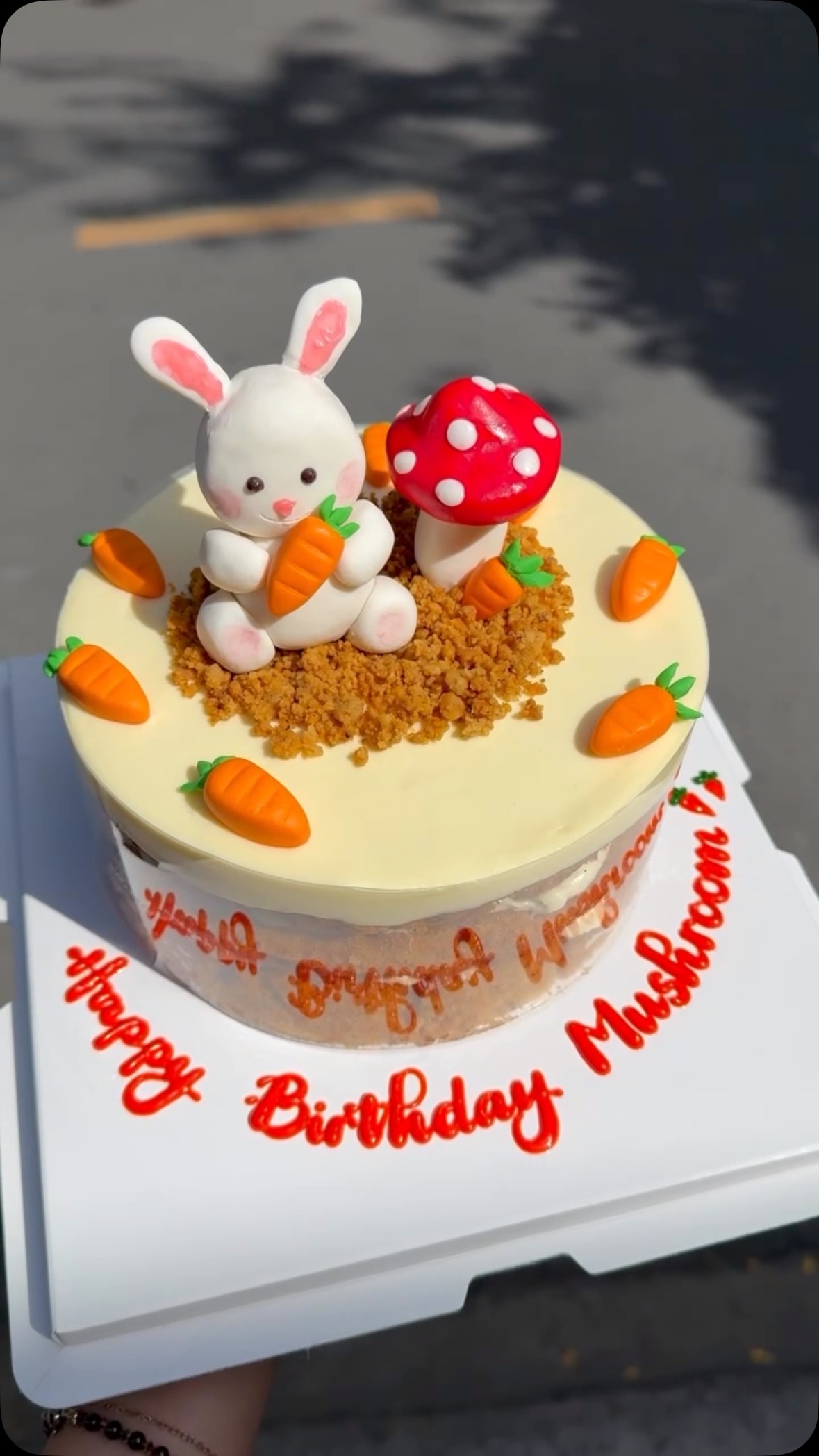 Special Carrot cake 🥕