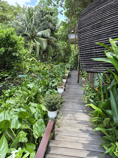 Spa Bar photo 7 in Thao Dien